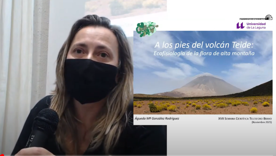 Tercera conferencia de la XVII Semana Científica Telesforo Bravo «A los pies del volcán Teide: ecofisiología de la flora de alta montaña», por Águeda González Rodríguez, doctora en Biología  (17/11/2021)